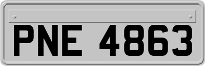 PNE4863