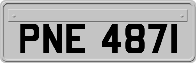 PNE4871