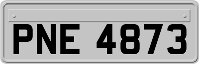 PNE4873