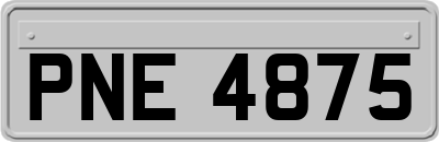 PNE4875
