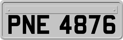 PNE4876