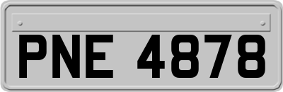 PNE4878