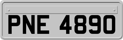 PNE4890