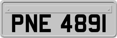 PNE4891
