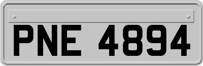PNE4894
