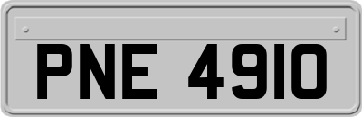 PNE4910