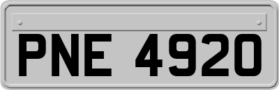 PNE4920