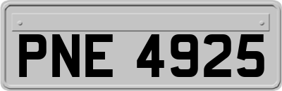 PNE4925