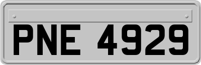 PNE4929