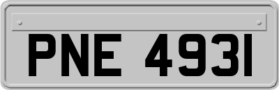 PNE4931