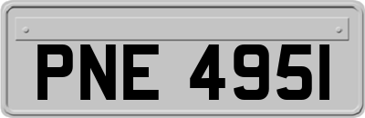 PNE4951