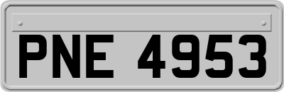 PNE4953