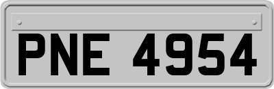 PNE4954