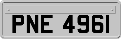 PNE4961
