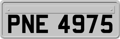 PNE4975