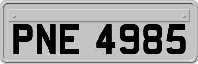 PNE4985