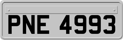 PNE4993