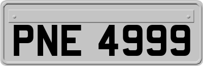 PNE4999