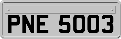 PNE5003