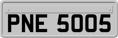 PNE5005