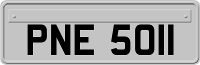 PNE5011