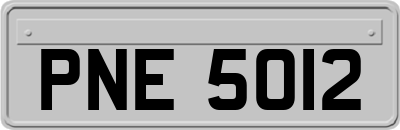 PNE5012