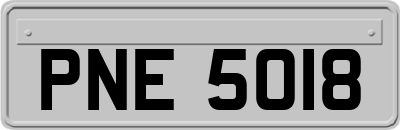 PNE5018