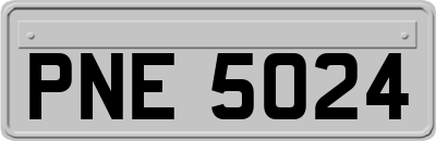PNE5024