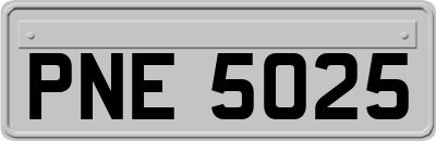 PNE5025