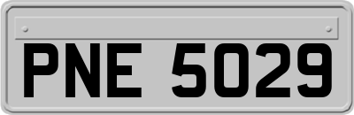 PNE5029