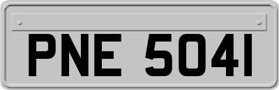 PNE5041
