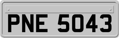 PNE5043