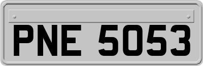 PNE5053