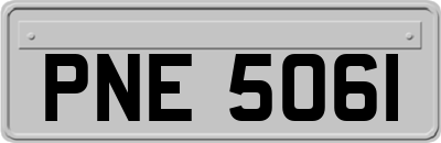 PNE5061