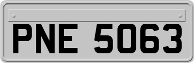 PNE5063