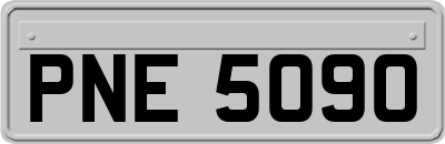 PNE5090