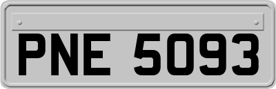 PNE5093