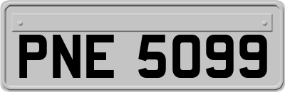 PNE5099