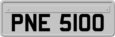 PNE5100