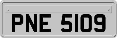 PNE5109