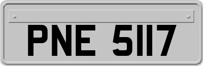 PNE5117