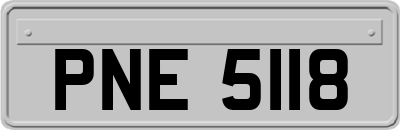 PNE5118