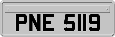 PNE5119