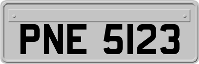 PNE5123