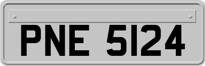 PNE5124