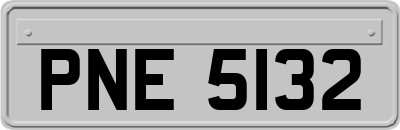 PNE5132