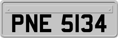 PNE5134