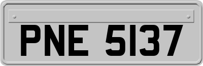 PNE5137