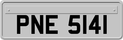 PNE5141