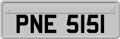 PNE5151